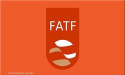 مجلس می‌تواند مقابل زیاده خواهی FATF بایستد